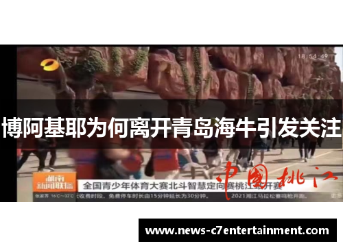 博阿基耶为何离开青岛海牛引发关注