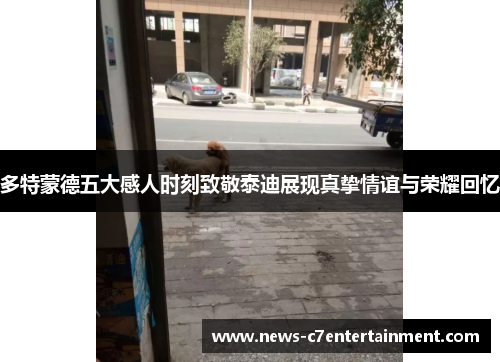 多特蒙德五大感人时刻致敬泰迪展现真挚情谊与荣耀回忆