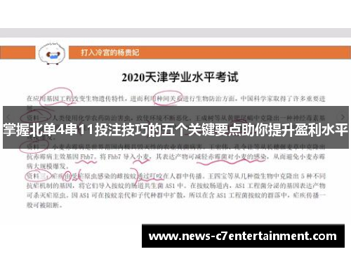 掌握北单4串11投注技巧的五个关键要点助你提升盈利水平