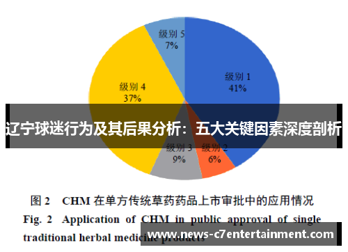 辽宁球迷行为及其后果分析：五大关键因素深度剖析