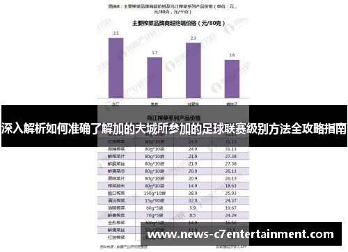深入解析如何准确了解加的夫城所参加的足球联赛级别方法全攻略指南