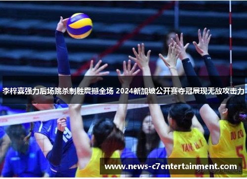 李梓嘉强力后场跳杀制胜震撼全场 2024新加坡公开赛夺冠展现无敌攻击力