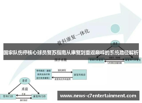 国家队伤停核心球员复苏指南从康复到重返巅峰的系统路径解析
