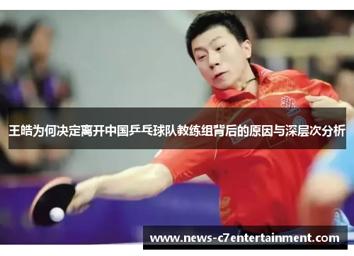 王皓为何决定离开中国乒乓球队教练组背后的原因与深层次分析