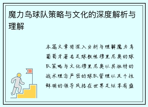 魔力鸟球队策略与文化的深度解析与理解